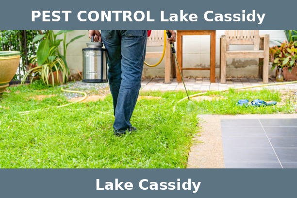 PEST CONTROL Lake Cassidy